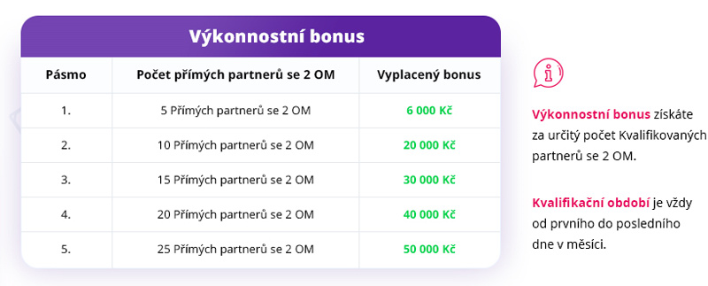 Výkonnostní bonusy